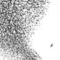 Wilco - Sky Blue Sky [LP]