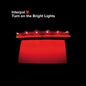 Interpol - Turn on the Bright Light [LP]