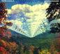 Tame Impala - Innerspeaker [2 CD]