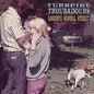 Turnpike Troubadours - Goodbye Normal Street [LP]