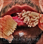 Toro Y Moi - Underneath the Pine [LP]