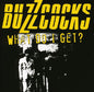 the album cover for Buzzcocks - What Do I Get [Import]