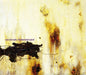 Nine Inch Nails - Downward Spiral [Import]