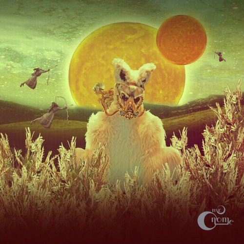 Mr Gnome - Madness in Miniature [LP]