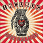 the album cover for Incubus - Light Grenades