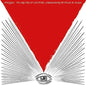 Foxygen - We Are the 21st Century Ambassadors of Peace & Magic [Vinyl]