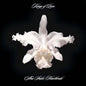 Kings Of Leon - Aha Shake Heartbreak [LP]