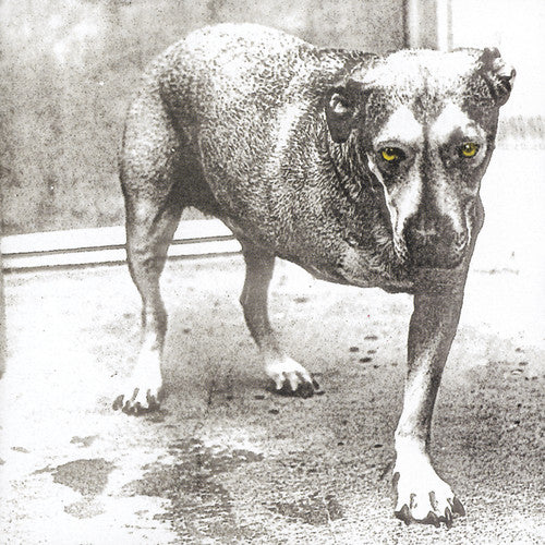 Alice In Chains - Alice in Chains [CD]