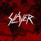 Slayer - World Painted Blood [Vinyl]