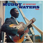 Muddy Waters - At Newport 1960 [LP]
