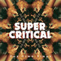 the album cover for The Ting Tings - Super Critical [Vinyl]