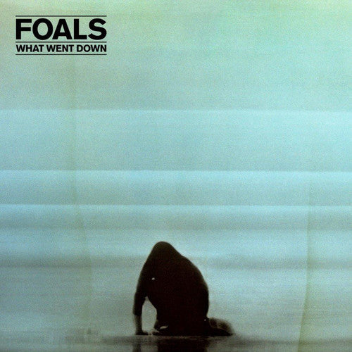 Foals - What Went Down [CD]