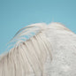 Widowspeak - All Yours [CD]