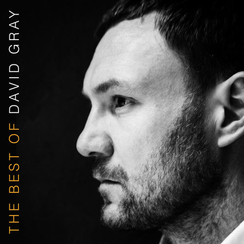David Gray - The Best Of David Gray [Vinyl]