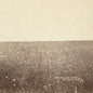 The Milk Carton Kids - The Ash & Clay [Deluxe DVD Version]