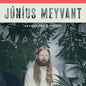 the album cover for Junius Meyvant - Across The Borders