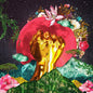 Rina Mushonga - In A Galaxy [LP]