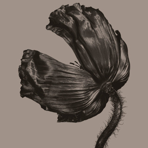 Pet Shop Boys - Release: 2017 Remastered Version [LP]