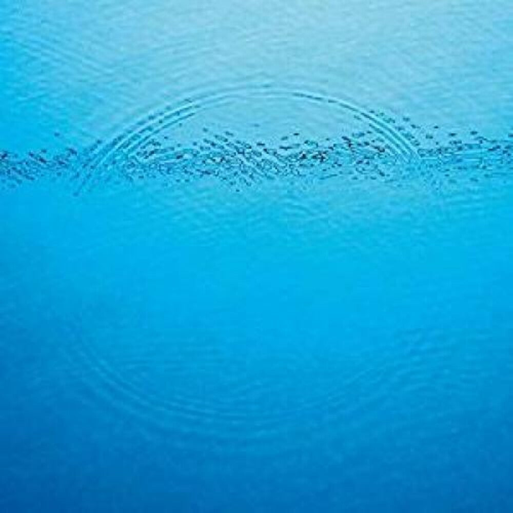 Caribou - Suddenly [LP]