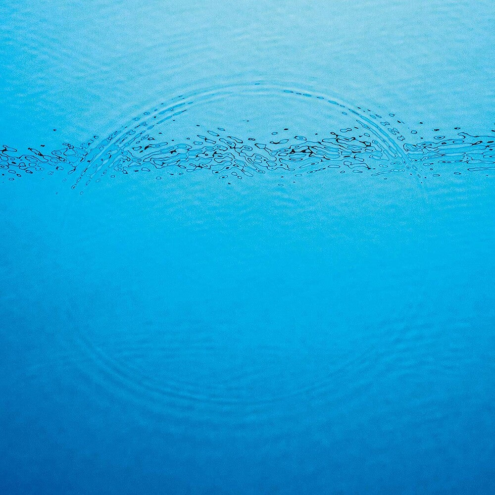 Caribou - Suddenly [CD]