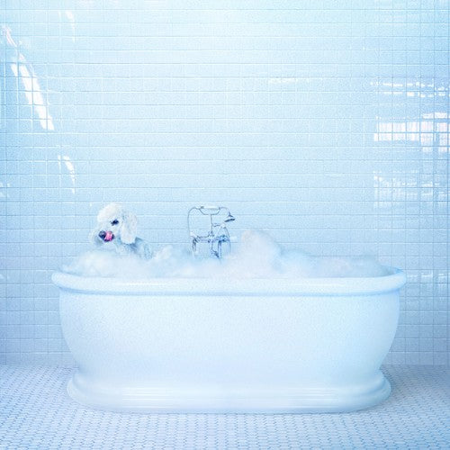 Frankie Cosmos - Vessel [CD]