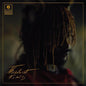 the album cover for Thundercat - It Is What It Is [Red LP]