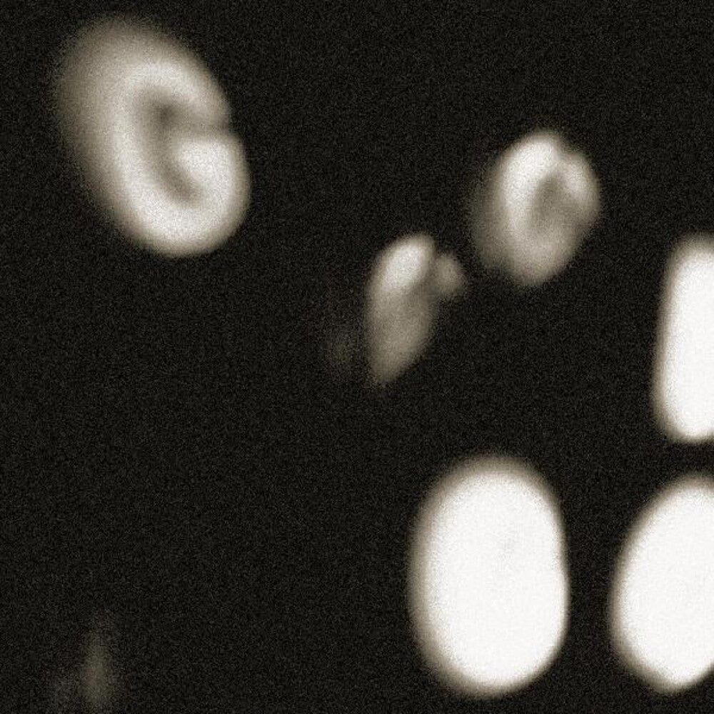 No Age - Goons Be Gone [LP]