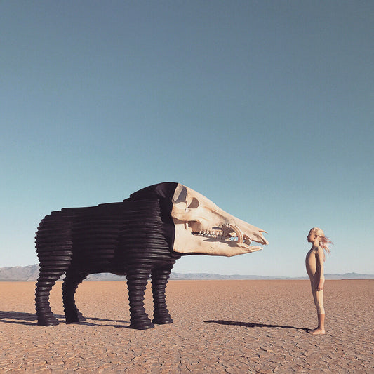 Man Man - Dream Hunting In The Valley Of The In-Between [LP]