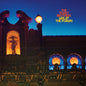 The Teskey Brothers - Live At The Forum [Opaque Blue LP]