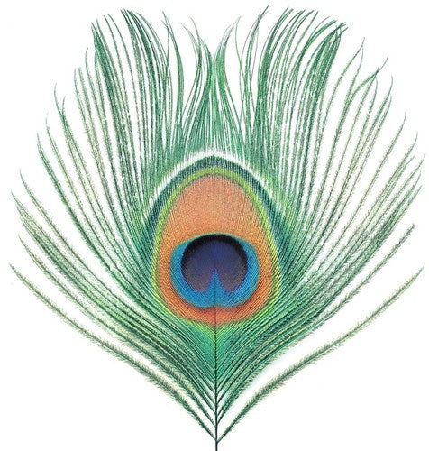 Xtc - Apple Venus Vol 1 [LP]