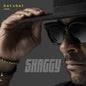 the album cover for Shaggy - Hot Shot 2020