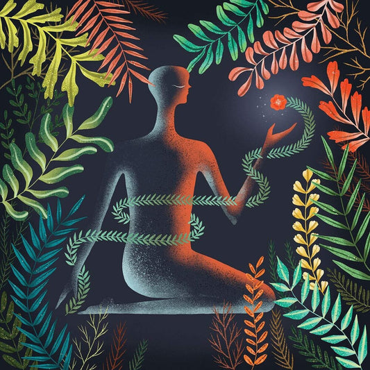 Loma - Don't Shy Away [LP]