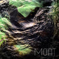 Moat - Poison Stream [LP]
