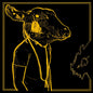 Shakey Graves - Roll The Bones X [CD]