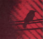 Silver Mt. Zion - Born Into Trouble As the Sparks Fly Upward [LP]