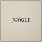 the album cover for Jungle - Loving In Stereo [LP]
