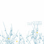 The Shins - Oh, Inverted World: 20th Anniversary Remaster [LP]