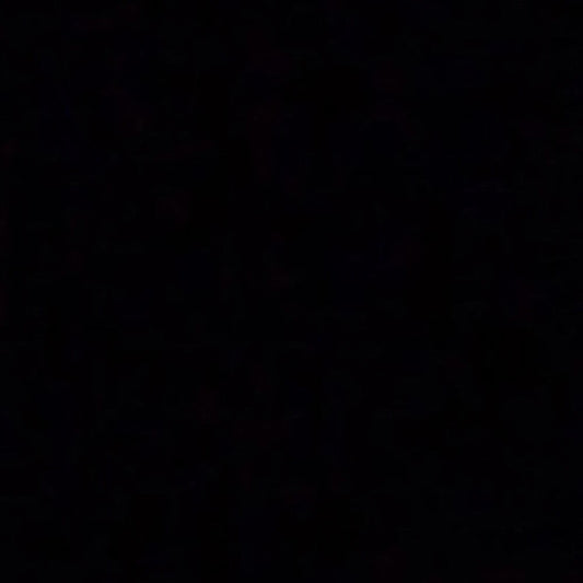 Andrew W.K. - God Is Partying [Indie Exclusive Limited Edition Turquoise LP+Poster]