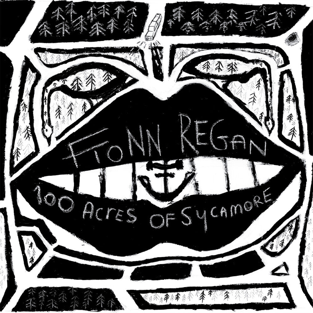 Fionn Regan - 100 Acres Of Sycamore [LP]