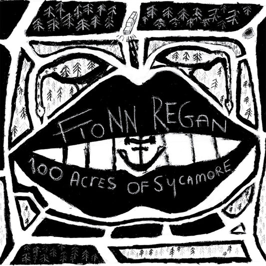 Fionn Regan - 100 Acres Of Sycamore [LP]