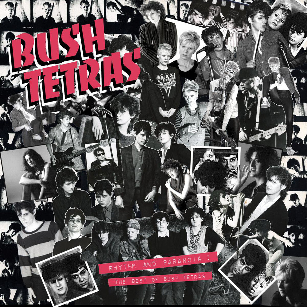 Bush Tetras - Rhythm & Paranoia: The Best Of Bush Tetras [CD]