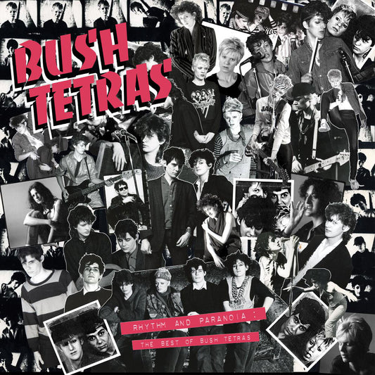 Bush Tetras - Rhythm & Paranoia: The Best Of Bush Tetras [CD]
