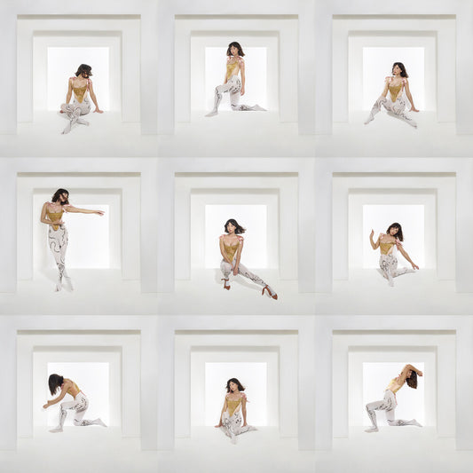 Foxes - The Kick [LP]