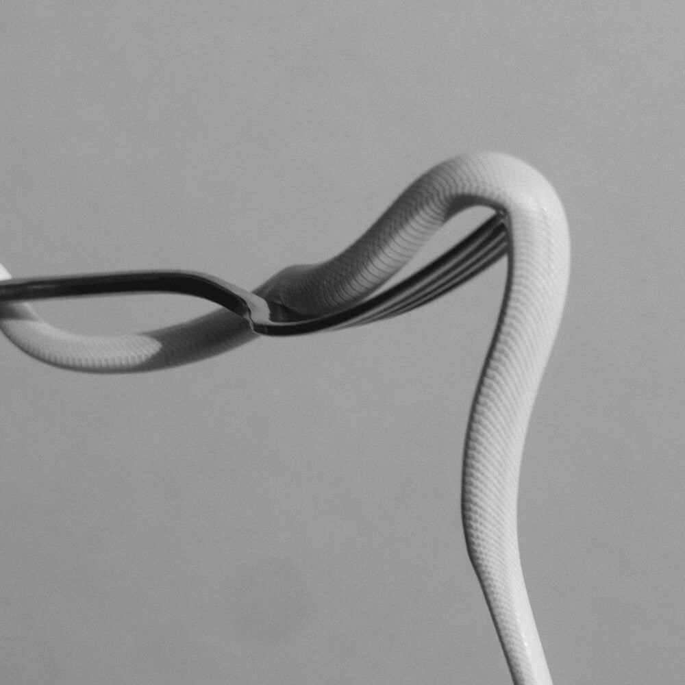 Animals As Leaders - Parrhesia [Indie Exclusive Limited Edition Neon Orange LP]