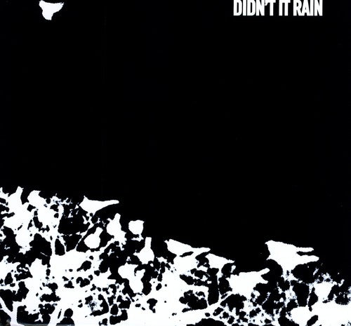 Songs: Ohia - Didn't It Rain [LP]