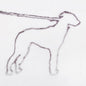 the album cover for Jonah Yano - Portrait Of A Dog