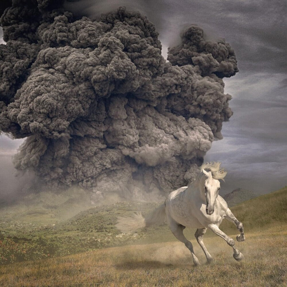 The White Buffalo - Year Of The Dark Horse [CD]