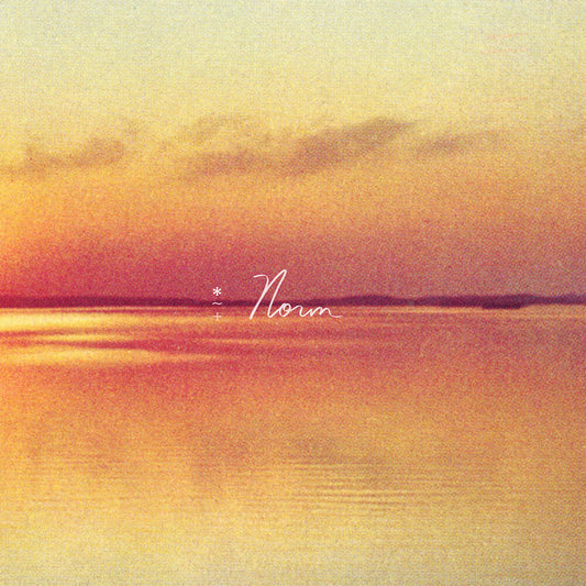 Andy Shauf - Norm [Indie Exclusive Limited Edition Eco Mix LP]