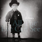 the album cover for Joe Henry - All The Eye Can See [2LP]
