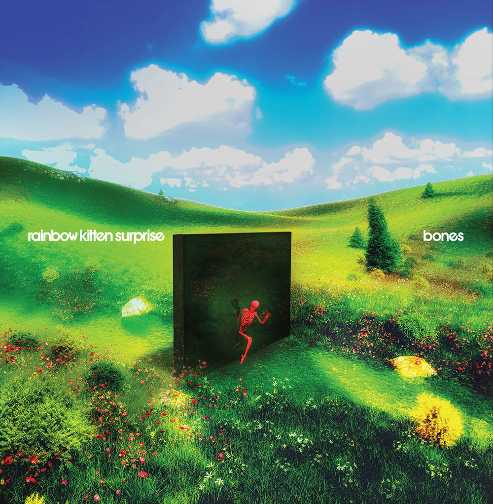 Rainbow Kitten Surprise - bones [LP]